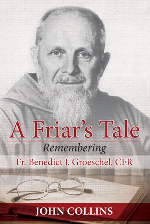 Cover of the book A Friar's Tale by Edward Sri