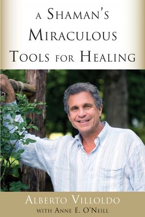 Book cover of A Shaman's Miraculous Tools for Healing