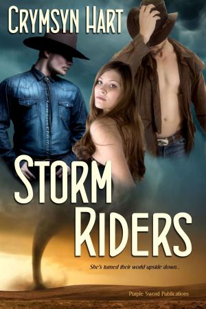 Book cover of Storm Riders
