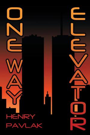 Cover of the book One Way Elevator by James Crawford