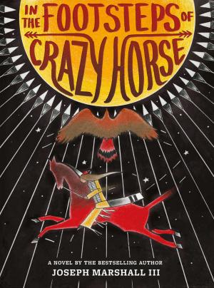 Cover of the book In the Footsteps of Crazy Horse by Michael F Leggett