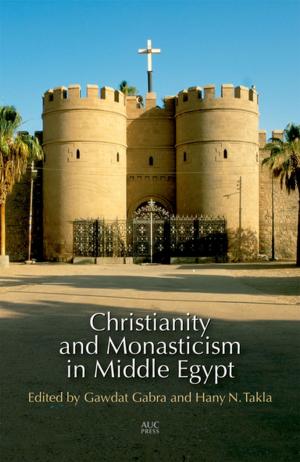 Cover of the book Christianity and Monasticism in Middle Egypt by Anouk de Koning