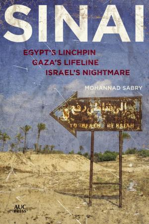 Cover of the book Sinai by Noam Chomsky, Andre Vltschek
