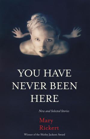 bigCover of the book You Have Never Been Here by 