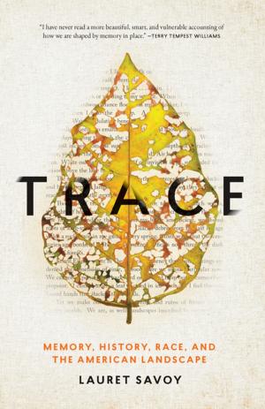 Cover of the book Trace by Marion Winik