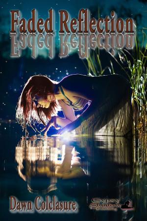 Cover of the book Faded Reflection by Jay Seate