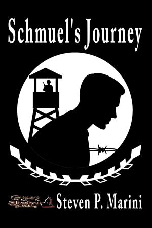 bigCover of the book Schmuel's Journey by 