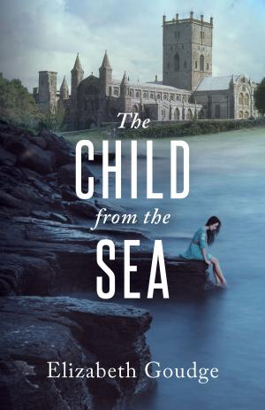 bigCover of the book The Child from the Sea by 