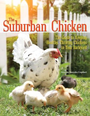 Cover of the book The Suburban Chicken by Angela Gair, Ian Sidaway