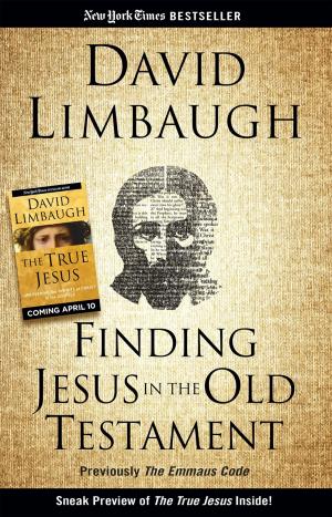 Cover of the book Finding Jesus in the Old Testament by Ted Nugent, Shemane Nugent