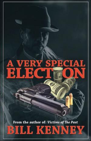 Cover of the book A Very Special Election by Robert D. Jones
