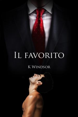Cover of the book Il favorito by Jessica E. Larsen