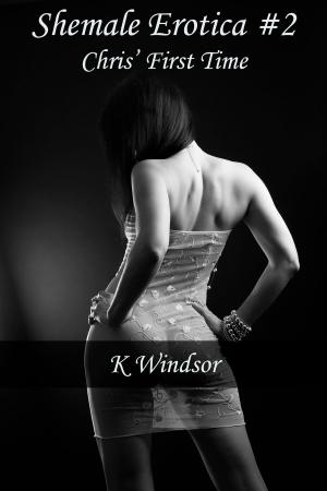 Cover of the book Shemale Erotica #2 by K Windsor