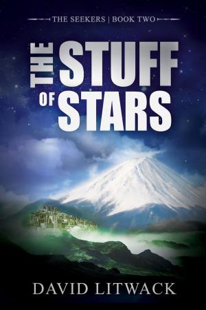 Book cover of The Stuff of Stars