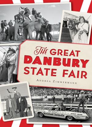 Cover of the book The Great Danbury State Fair by David Shribman, Jack DeGange