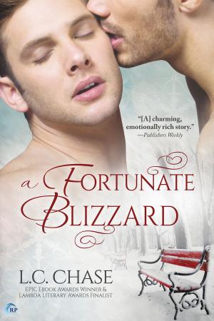 Book cover of A Fortunate Blizzard