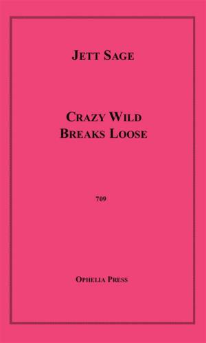 Cover of the book Crazy Wild Busts Loose by Klow, Dr. Guenter