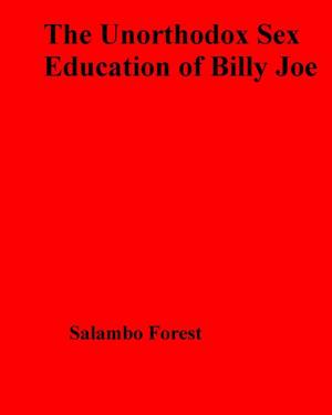 Book cover of The Unorthodox Sex Education of Billy Joe