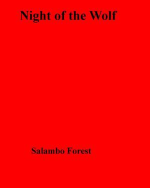 Book cover of Night of the Wolf