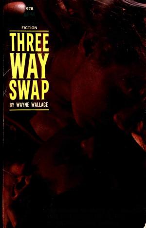 Cover of the book Three Way Swap by Garr, Mullin
