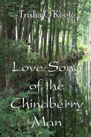 Cover of the book Love Song of the Chinaberry Man by Benni Chisholm