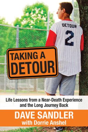Cover of the book Taking a Detour by Zackary Sholem Berger