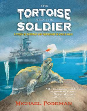 Book cover of The Tortoise and the Soldier