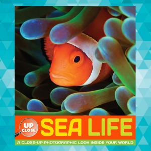 Cover of the book Sea Life by Dave Garbot, Robbin Cuddy, Alicia VanNoy Call