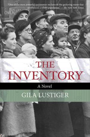 Book cover of The Inventory