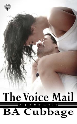 Cover of the book The Voice Mail by Natalie Brock