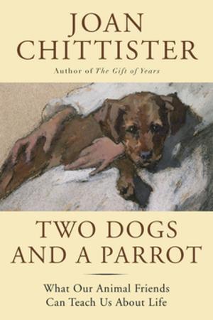 Cover of the book Two Dogs and a Parrot by Helle Katrine Kleven