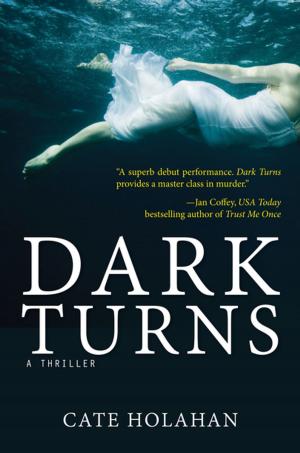 Book cover of Dark Turns