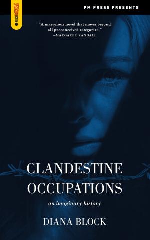 Cover of the book Clandestine Occupations by Mia Epsilon