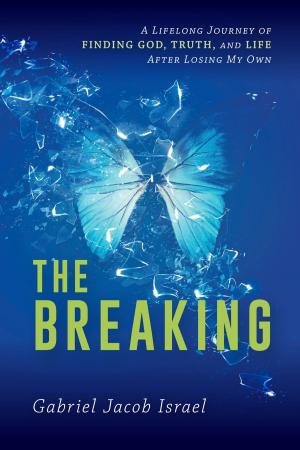 Cover of the book The Breaking by Dr. Ángel L. Núñez