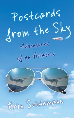 Cover of the book Postcards from the Sky by Claudia Six, PhD