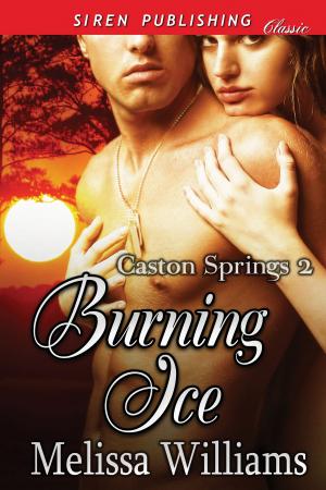 Cover of the book Burning Ice by A.J. Moor