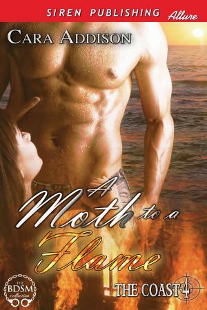 Cover of the book A Moth to a Flame by Becca Van