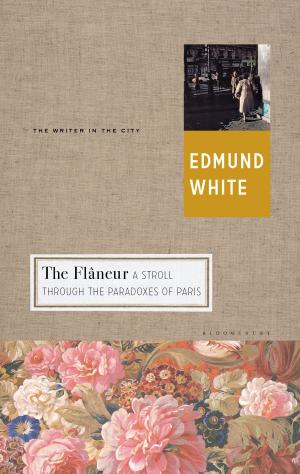 Cover of the book The Flaneur by Terry Deary