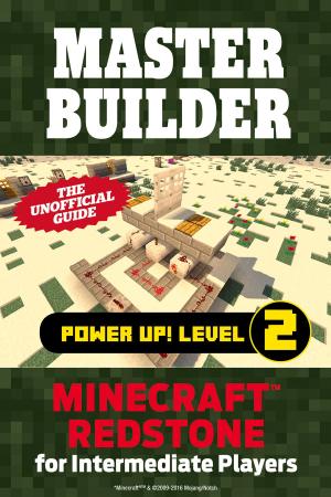 Cover of the book Master Builder Power Up! Level 2 by Bill 