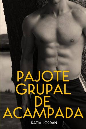 Cover of the book Pajote grupal de acampada by Katia Jordan