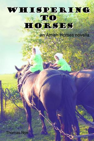 Cover of the book Whispering to Horses by Ken Snyder