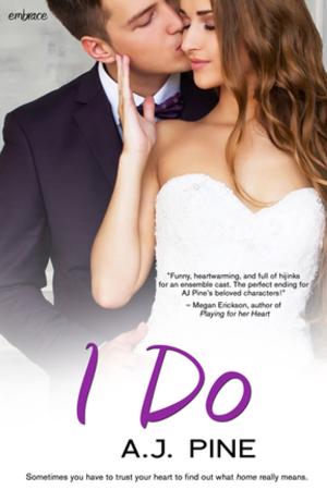 Cover of the book I Do by Rae Winters
