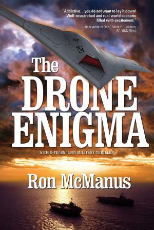 Book cover of The Drone Enigma