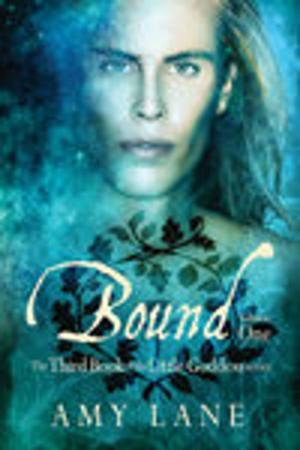 Cover of the book Bound, Vol. 1 by Serena Yates