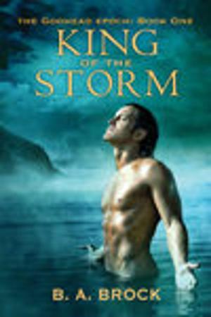 Cover of the book King of the Storm by K.Z. Snow