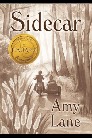 Cover of the book Sidecar by Liv Olteano