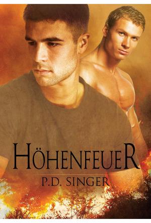 Cover of the book Höhenfeuer by Aidan Wayne