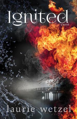 Cover of the book Ignited by Jameson Kowalczyk