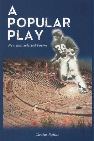 Cover of the book A Popular Play by Jackie Ellis Stewart