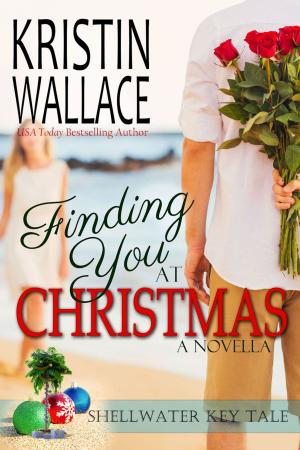 Cover of the book Finding You at Christmas by Tara Taylor Quinn